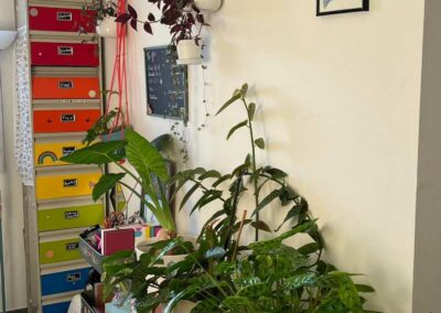 Atelier créatif plantes